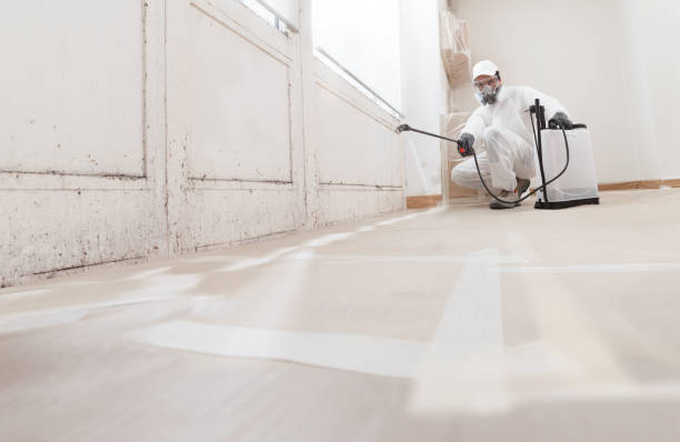 24/7 Emergency Attic Mold Remediation experts in Peoria, AZ